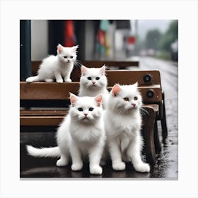 White Cats On A Bench Canvas Print