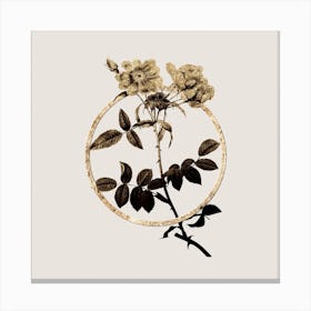 Gold Ring Lady Monson Rose Bloom Glitter Botanical Illustration Canvas Print