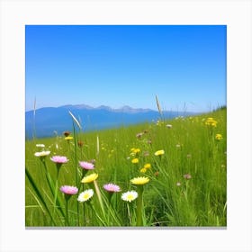 Wildflowers In The Meadow Canvas Print