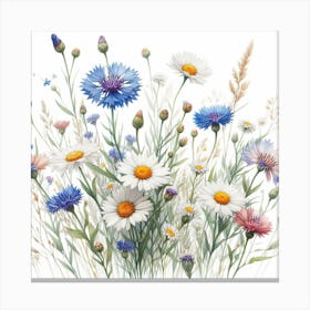 Flowers of chamomile and cornflower 3 Canvas Print