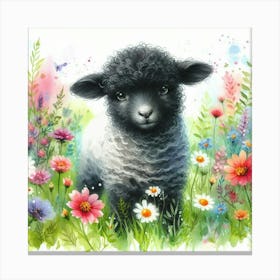 Baby Lamb Canvas Print