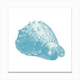 Blue Sea Shell Canvas Print