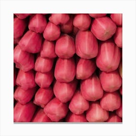 Rambutan 1 Canvas Print