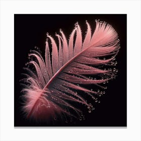 Pink Feather Canvas Print