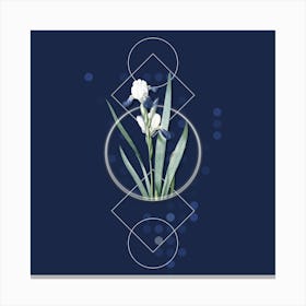 Vintage Tall Bearded Iris Botanical with Geometric Line Motif and Dot Pattern n.0090 Canvas Print