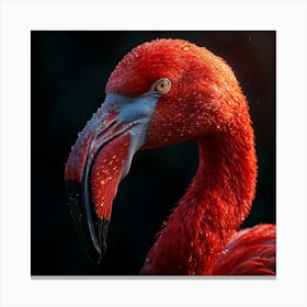 Flamingo 35 Canvas Print