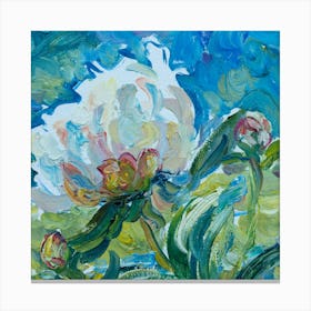 Peony Canvas Print