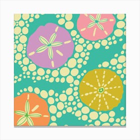IN THE SURF Coastal Beach Sea Urchins and Sand Dollars in Bright Summer Colours Canvas Print