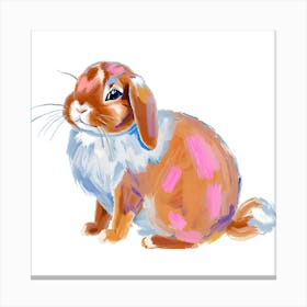 Holland Lop Rabbit 04 Canvas Print