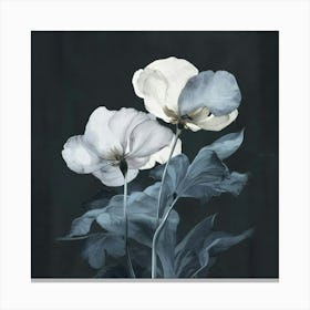 Two White Flowers Canvas Print