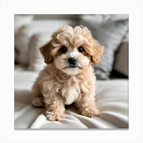 Cute dog Canvas Print