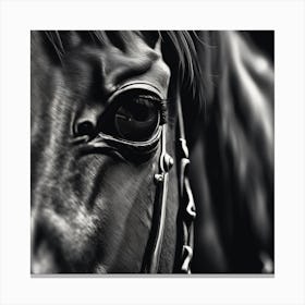 Horse'S Eye 1 Canvas Print