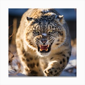 Snow Leopard - Snow Leopard Stock Videos & Royalty-Free Footage Canvas Print
