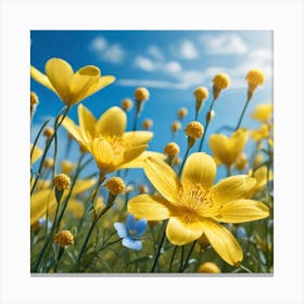 Yellow Flowers In A Field 38 Canvas Print