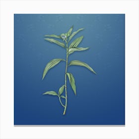 Vintage Dayflower Botanical on Bahama Blue Pattern n.2466 Canvas Print