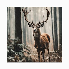 Deer In The Forest 6 Canvas Print