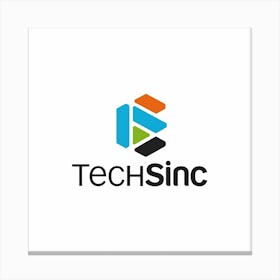 Techsinc Logo 4 Canvas Print