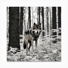 Wolf In The Forest 6 Canvas Print