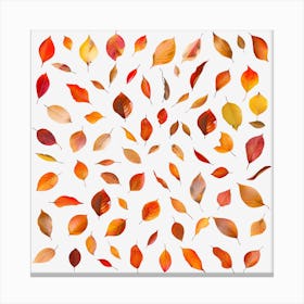 Autumn Leaves On Black Background Canvas Print