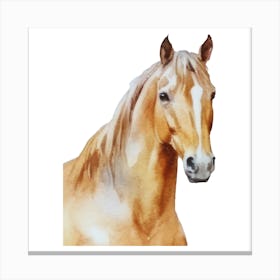 Horse.uk Canvas Print