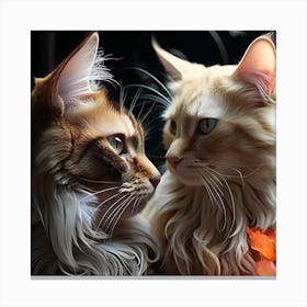 Two Cats Looking At Each Other Canvas Print