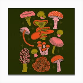 Texas Mushrooms   Bright Multicolor On Green Square Canvas Print