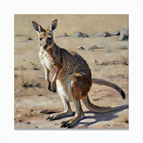 Kangaroo Canvas Print