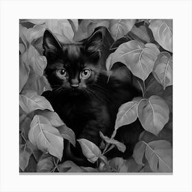 Black and White Black Kitten In Leaves Canvas Print
