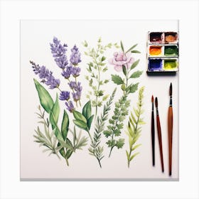 Watercolor Of Herbs Canvas Print