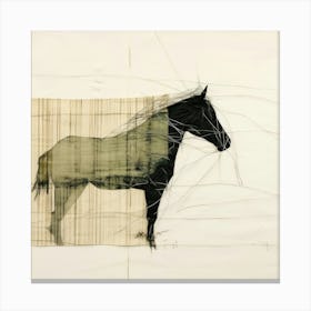 Abstract Equines Collection 28 Canvas Print