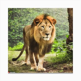 Lion In The Forest Canvas Print