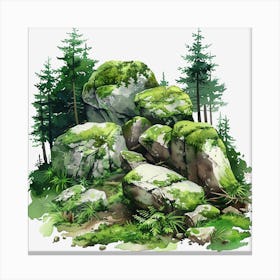 Mossy Rocks In The Forest Canvas Print