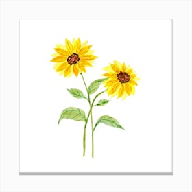 Sunflowers Canvas Print