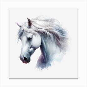 White Horse.3 Canvas Print
