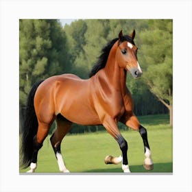 Horse Running In The Grass Canvas Print