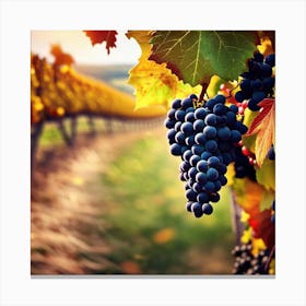 Grapes On The Vine 1 Canvas Print