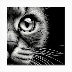 Cat'S Face Canvas Print