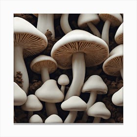 White Mushrooms 1 Canvas Print