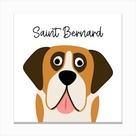 Saint Bernard Canvas Print