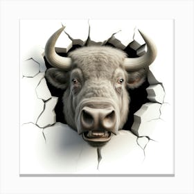 Bull Through A Wall Canvas Print