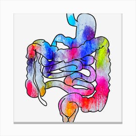 Digestive System Gastrointestinal Tract Watercolor Art Gifts Canvas Print