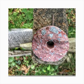 Round Pink Stone Canvas Print