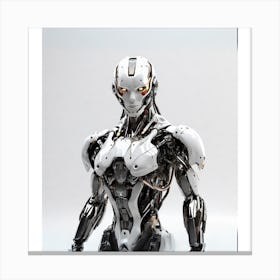 Robot Canvas Print