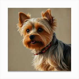 A yorkie female Canvas Print