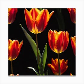 Tulips Canvas Print