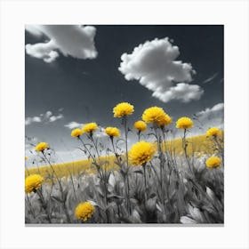 Field Of Yellow Dandelions Canvas Print