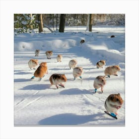 A Photo Of Hamsters Skating On The Snow Vgzhae96s0wij5w3pkmc4w Pratxdajsqcmzazlfc4 Mw Canvas Print