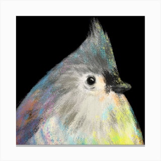 Tufted Titmouse Bird Canvas Print