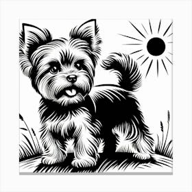 A yorkie dog Canvas Print