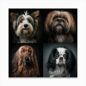 Some dogs Canvas Print
